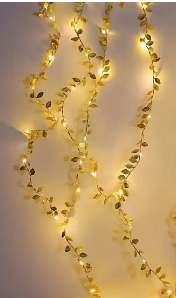 🌸 Guirlande lumineuse Fleurs – Ambiance douce & chaleureuse ✨