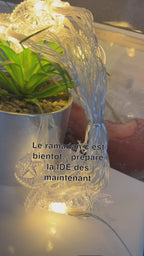 🌙 Guirlande lumineuse Croissant & Étoile USB 2m50✨